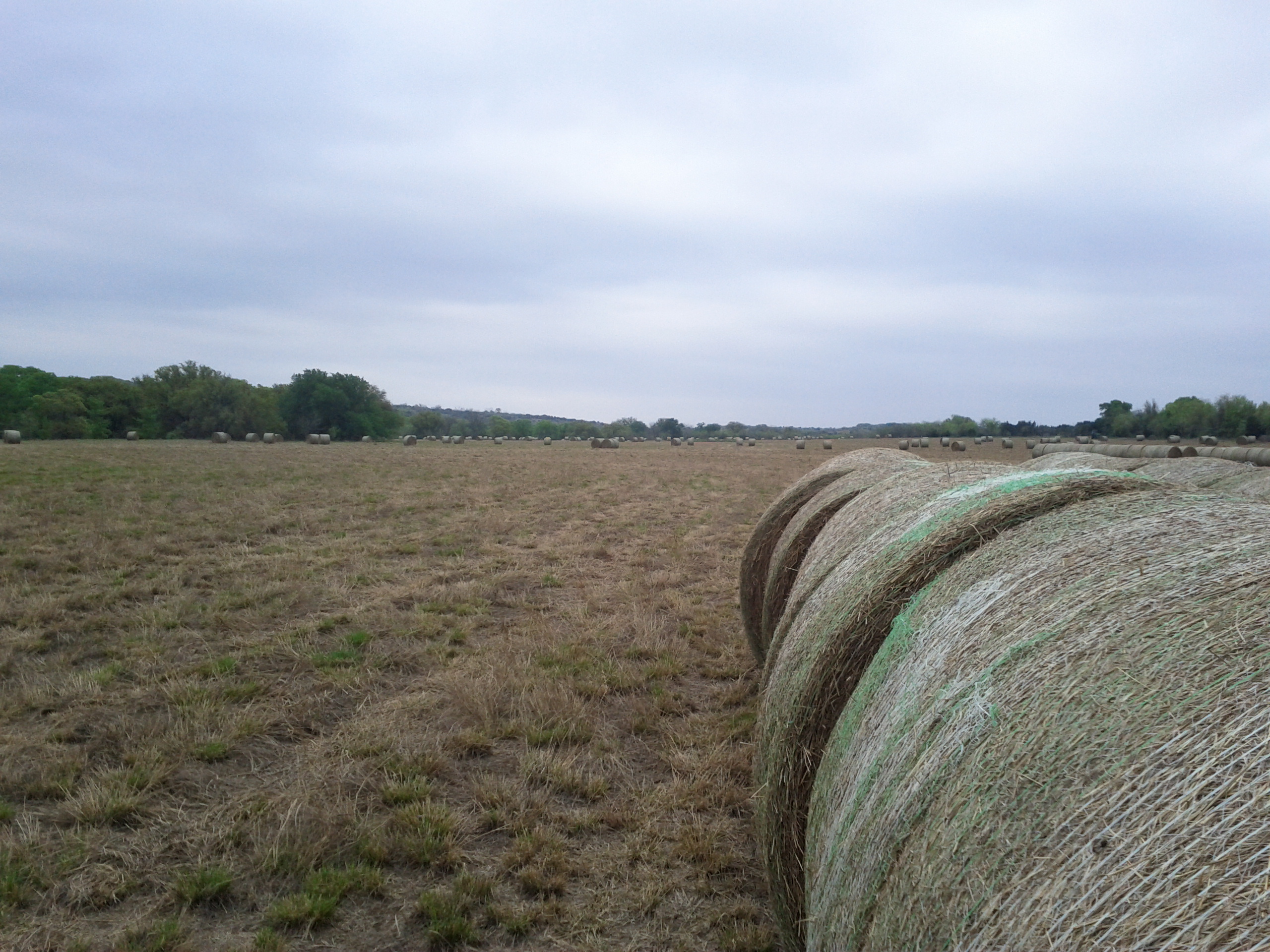 Hay on Field